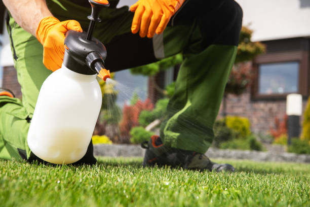 Best Insect Control  in Whiteland, IN