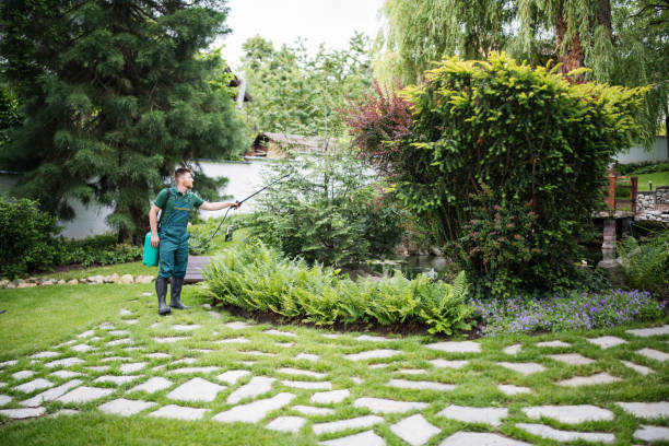 Best Wildlife Control Services  in Whiteland, IN