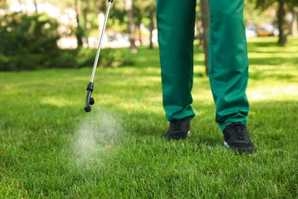 Best Pest Control Near Me in Whiteland, IN