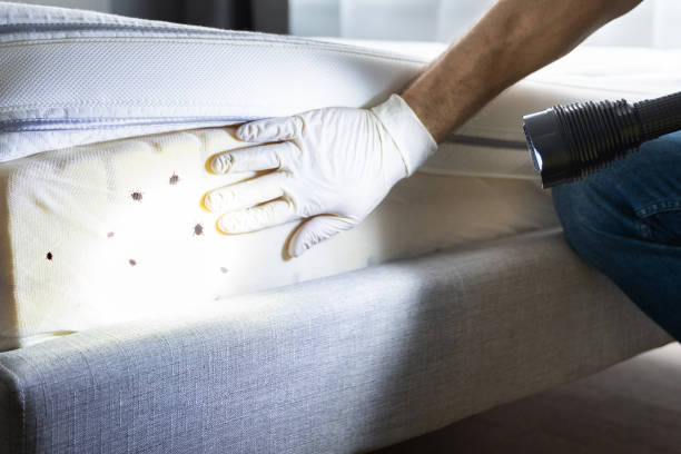 Flea Control Services in Whiteland, IN